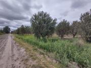 Finca en Venta, Junín