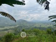 Finca en venta, La Trinidad, Manizales