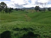 Finca en venta la Union Antioquia 32 hectáreas, o 50 cuadras