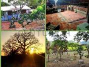 FINCA EN VENTA LOS BAJOS MONTECRISTI FINCA EN VENTA LOS BAJOS MONTECRISTI