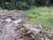 FINCA EN VENTA NANEGALITO