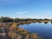 Finca en Venta Rodeo del Medio