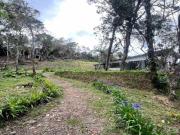 FINCA EN VENTA UBICADA EN MEDELLÍN SECTOR PIEDRAS BLANCAS