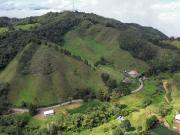 FINCA EN VENTA VEREDA SAN JOSE LA CEJA ANTIOQUIA