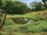 Finca en venta vía a la costa – 195.800m2 con...