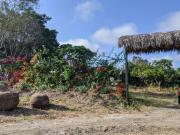 Finca en Venta Via a la Costa Km 36,5, IngG