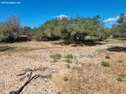 Finca Exclusiva: Naturaleza y Playa a 15 Minutos