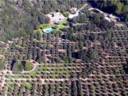Finca exclusiva situada dentro del Valle de San Pedro de...