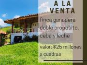 Finca ganadera doble propósito, cartago, via alcala