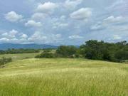 Finca Ganadera Piscicultura Agricultura