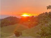 Finca Ganadera Puerto Berrio