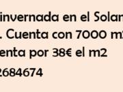 Finca invernada en El Solanillo