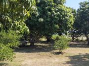 Finca Inversion