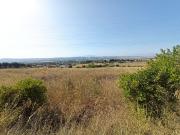 FINCA JUNTO A TORREGUIL