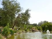 Finca La Moraleda