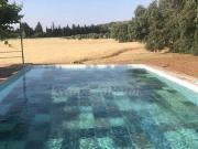 Finca Los Arcos