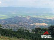 Finca mixta tecnificada en Cartago, Valle