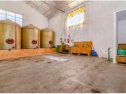 Finca. Nave Industrial. Zona de Ensanche con vivienda