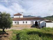 FINCA PANORÁMICA EN LA SIERRA DE CÁDIZ: NATURALEZA,...