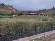 Finca para la Venta Vereda la estrella Gómez Plata