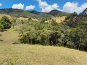 VENDO FINCA PARA PARCELACION O AGROINDUSTRIA EL RETIRO...