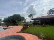 Finca pequeña en venta Quimbaya Quindio 1 hectárea