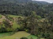 FINCA PRODUCTIVA EN VENTA – ZIPAQUIRÁ