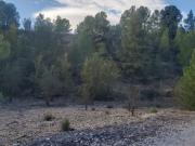 Finca R´ústica en Fuente del Pino, Monóvar