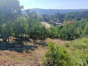 FINCA RAMIRAS