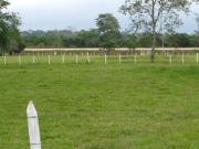 Finca Rancho en venta en Dos Montes, Centro, Tabasco