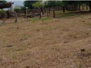 Finca Rancho en Venta en El Infiernillo, Medellín de...