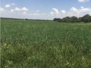 Finca Rancho en venta en La Venta, Dolores Hidalgo Cuna...