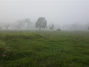 Finca Rancho en venta en Parrilla, Centro, Tabasco