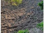 FINCA RÚSTICA 2 HABITACIONES