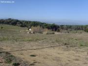 FINCA RÚSTICA A LA VENTA EN MAÇANET DE LA SELVA, PARCELA...