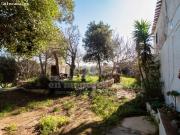 Finca rústica a pocos metros del centro de Ciutadella