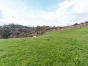 Finca rustica al lado de Oviedo!