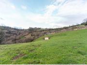 Finca rustica al lado de Oviedo!