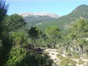 Finca Rustica Albacete