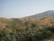 Finca Rústica Alquiler Málaga