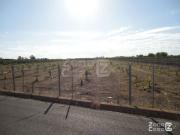 Finca Rústica Alzira