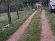Finca rústica amb possibilitat dedificació a Campdorà