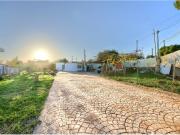 FINCA RÚSTICA CON 1.000 m² DE PARCELA A 5 MINUTOS DE...