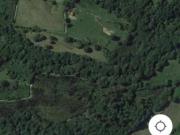 Finca rústica con cabaña y bosque autóctono