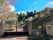 FINCA RÚSTICA CON CASA EN EL BURGO