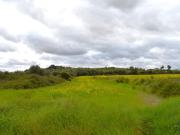 Finca rústica con caseta de herramientas en Muro