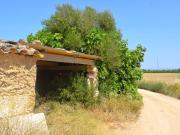 Finca rústica con caseta de herramientas en Sa Pobla