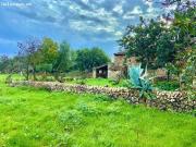 Finca rústica con caseta y 6000m2 para tus proyectos de... Finca rústica con caseta y 6000m2 para tus proyectos de...