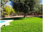 FINCA RÚSTICA CON CORTIJO, CASA Y PISCINA