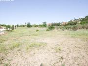 FINCA RUSTICA CON DE ALMACEN DE APEROS DE 60 M2